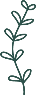 Illustrations – vert – 6 Illustrations - vert - 6