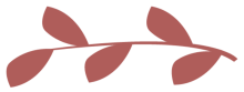 feuillage-rose